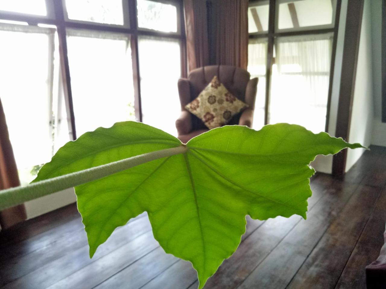 Rumah Pakankamih Bukittinggi Extérieur photo